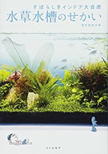 水草水槽のせかい すばらしきインドア大自然(中古品)