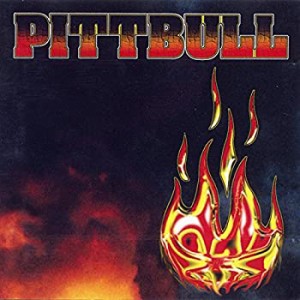 Pittbull(中古品)