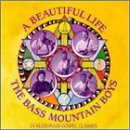 Beautiful Life(中古品)