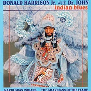 Indian Blues(中古品)