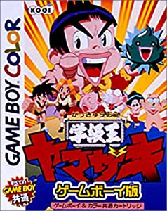 学級王ヤマザキ(ゲームボーイカラー対応)(中古品)