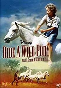 RIDE A WILD PONY(中古品)