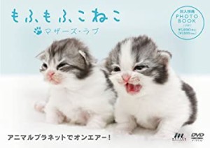 もふもふこねこ~マザーズ・ラブ~ [DVD](中古品)