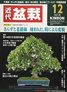 月刊近代盆栽 2018年 12 月号 [雑誌](中古品)