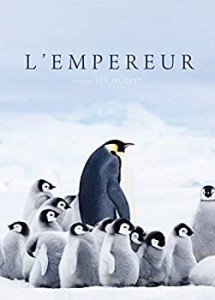 皇帝ペンギン ただいま [DVD](中古品)