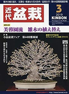 月刊近代盆栽 2019年 03 月号 [雑誌](中古品)