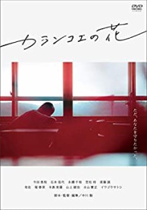 カランコエの花 [DVD](中古品)