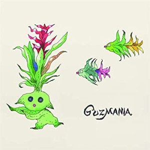 GUZMANIA(中古品)