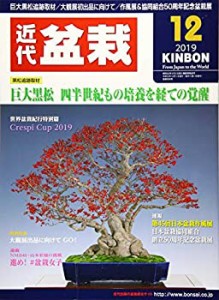 月刊近代盆栽 2019年 12 月号 [雑誌](中古品)