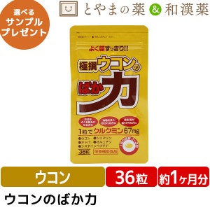 送料無料 極撰ウコンのばか力 36粒 | ウコン シリマリン オルニチン サプリ クルクミン ビタミンe アラニン カプセル お酒 在宅 サプリメ