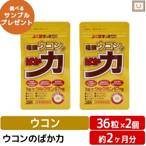 送料無料 極撰ウコンのばか力 36粒 2個セット | ウコン シリマリン オルニチン サプリ クルクミン ビタミンe アラニン カプセル お酒 在