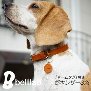 わんちゃん 犬 首輪 カラー 栃木レザー ペット チャーム 名札 名入れ ドッグタグ 本革 日本製 8文字まで