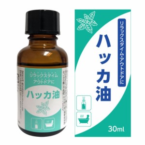 ハッカ油 30ml 天然 ハッカオイル 原液 アロマ アウトドア お風呂 (30ml（単体）)