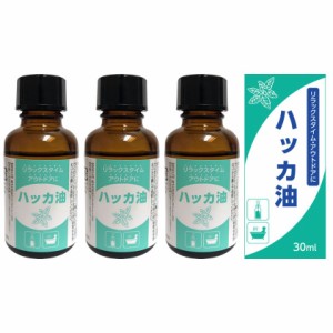 ハッカ油 3個セット 30ml 天然 ハッカ ハッカオイル 原液 アロマ アウトドア お風呂 (30ml（単体）)