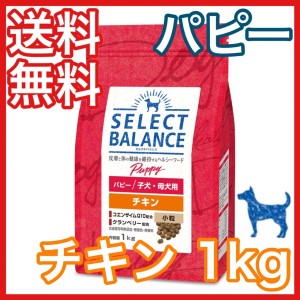 セレクトバランス パピー チキン 小粒 子犬 母犬用 1kg ドッグフード