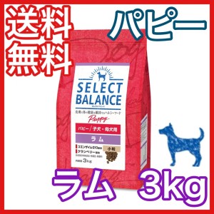 セレクトバランス パピー ラム 小粒 子犬 母犬用 3kg ドッグフード