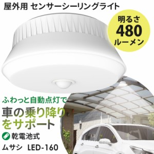 センサーライト 【53％引き】 人感センサーライト 屋外 防犯ライト ムサシ RITEX 屋外用センサーシーリングライト（LED-160） 乾電池式 