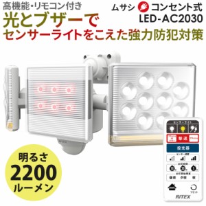 新商品 【56％引き】 人感センサーライト 屋外 防犯ライト ムサシ RITEX 12W×2灯 フリーアーム式LEDセンサーライト リモコン付（LED-AC2