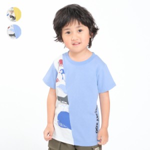 【子供服】 crescent (クレセント) 【HI！MY ZOO】動物・海の生き物半袖Tシャツ 80cm〜130cm N32822