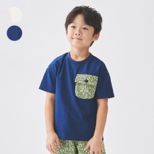 【23夏セール30%OFF価格】Daddy Oh Daddy (ダディオダディ) ヒョウ柄ポケット付き半袖Ｔシャツ キッズ 男の子  V30826