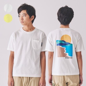 【子供服】 Daddy Oh Daddy (ダディオダディ) 日本製 バックプリント半袖Tシャツ 140cm〜160cm V32817