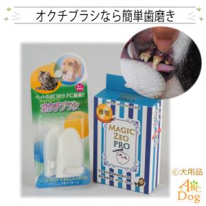 歯石取り 器具の通販 Au Pay マーケット