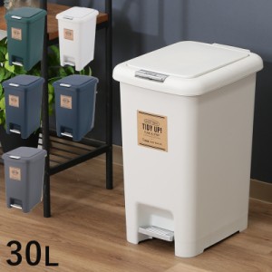 ゴミ箱 ごみ箱 30リットル 約 ふた付き ペダル 大容量 おしゃれ 30l キッチン 長方形 ダストボックス ごみばこ プッシュ式 大型 洗面所 