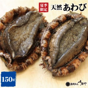 日本海産 天然あわび(150g)/鮑/魚介/天然貝/お中元/