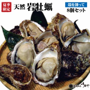 【日本海産】旬の味覚！天然岩牡蠣（殻を割って）【8個セット】/かき/カキ/牡蠣/魚介/ギフト/お中元