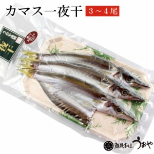日本海産 カマス一夜干 3〜4尾入　かます カマス 干物 ひもの 乾物 お惣菜 魚 ご飯のおかず グルメ