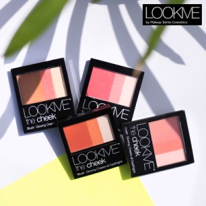 LOOKME ルックミー グラデーション ブラッシュ ブラシ付き パレット チークカラー  ハイライト