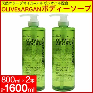 ボディソープ ポンプ 本体 大容量 800ml 2本セット ディブ オリーブ＆アルガン 日本製 送料無料