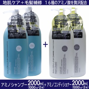 シャンプー コンディショナー アミノ酸 地肌 毛髪補修 保湿 ヨーロピアンフローラル サロンリンク 1L 各2個セット 送料無料