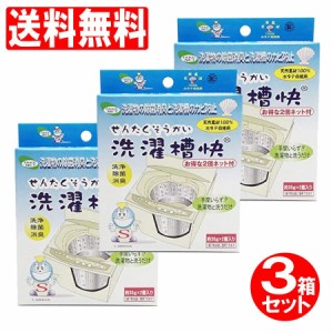 洗濯槽クリーナー 洗剤 消臭 除菌 カビ防止 ネット付 30g 2個入り 3箱セット 送料無料