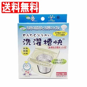 洗濯槽 クリーナー 洗剤 カビ取り 消臭 除菌 ネット付 洗濯物 洗濯槽快 1個入り 2個セット 30g テイクネット 送料無料