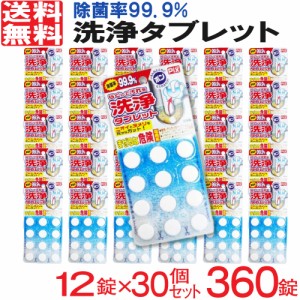 排水溝クリーナー 排水口 洗浄 タブレット 12錠 30個セット ピクス ライオンケミカル