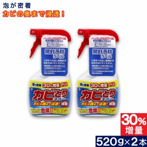 Pix カビとりクリーナー 泡 本体 大容量 520ｇ ×2本 塩素系 浴室 カビ汚れ 日本製