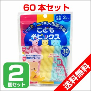 歯間フロス デンタルフロス 歯間 子供用 ようじ 30本入 2個セット こども糸ピックス Dr.デンリスト メール便送料無料 ポイント消化