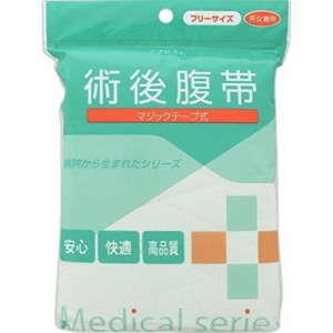 腹帯 マジックタイプ 術後腹帯 1枚入 アメジスト フリーサイズ 大衛 メール便送料無料 ネコポス 