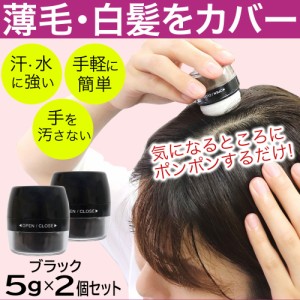 白髪隠し 白髪かくし パウダー シャンデルぽんぽんヘアパウダーP 2個 ブラック