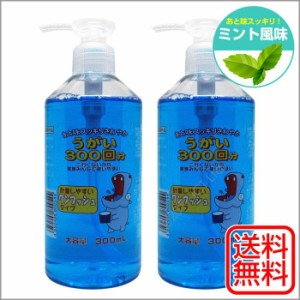 うがい薬 ミント 300mL 2個セット イーレス 指定医薬部外品 日本製 送料無料