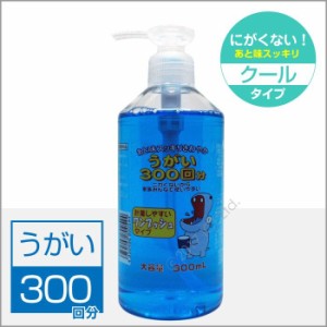 うがい薬 ミント味 300mL 指定医薬部外品 イーレス 日本製