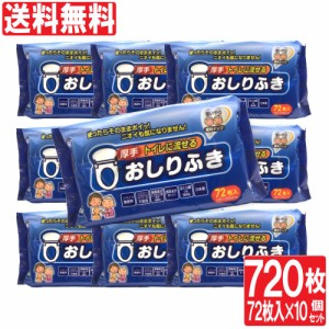 おしりふき  流せる 厚手 大人用 ヒアルロン酸 配合 弱酸性 ノンアルコール 無香料 日本製 72枚入 10セット 送料無料