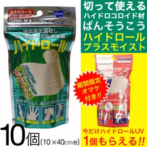 絆創膏 救急 透明 大きめ ハイドロコロイド 10個セット ヒューマンベース ハイドロール 送料無料