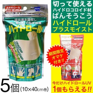 絆創膏 救急 透明 大きめ ハイドロコロイド 5個セット ヒューマンベース ハイドロール 送料無料