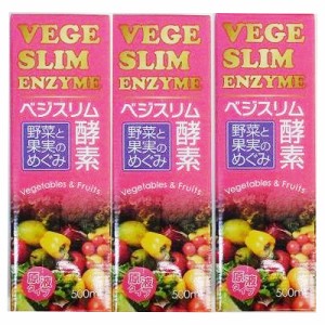 酵素 ドリンク ベジスリム酵素 原液 500ml タモン ３本セット