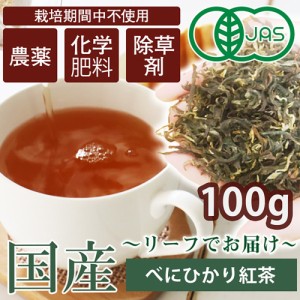 紅茶 茶葉 和紅茶 ギフト 国産 リーフティー べにひかり 100g 送料無料