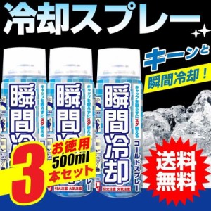 冷却スプレー コールドスプレー 熱中症対策 瞬間冷却 冷却グッズ お徳用 500ml 3本セット