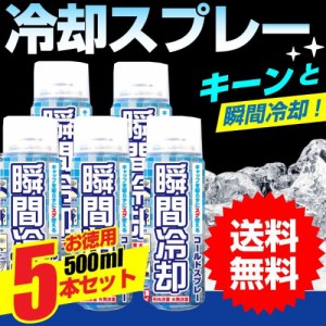 冷却スプレー コールドスプレー 熱中症対策 瞬間冷却 冷却グッズ お徳用 500ml 5本セット