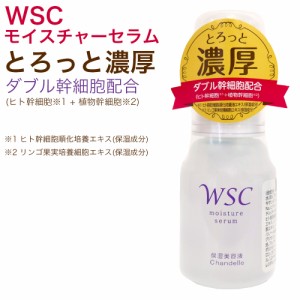 WSCモイスチャ—セラム ヒト幹細胞+植物幹細胞のダブル幹細胞配合 美容液 35ml 保湿美容液 スキンケア 日本製